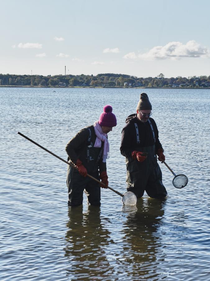 Østerssafari