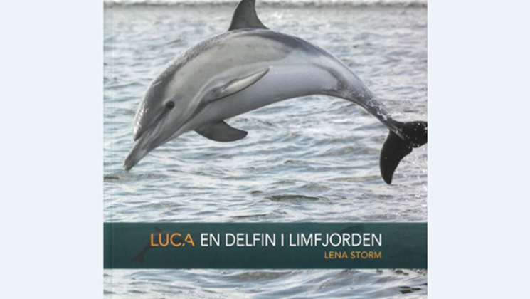 Luca bog