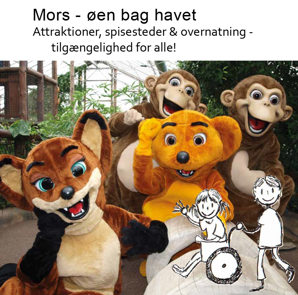Handicaprådet