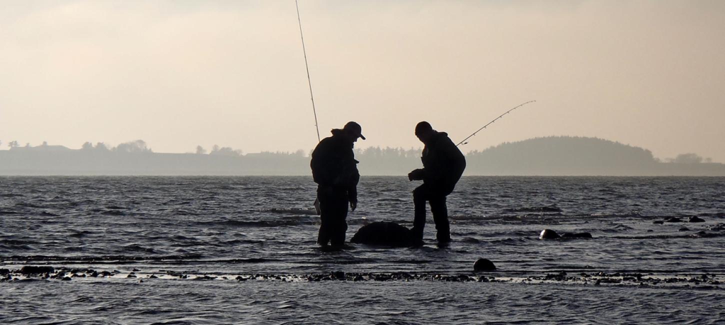 Fiskeri på Mors